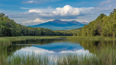 chamna natural preserve