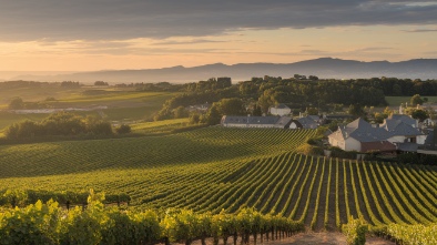 gilbert cellars