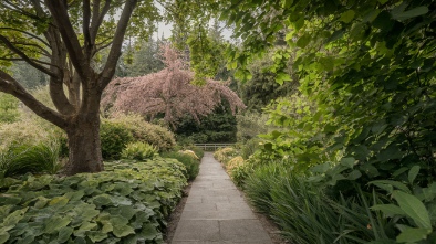 yakima area arboretum